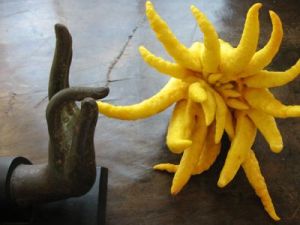 caflurebonhandof-buddah-fruit